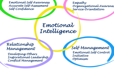 emotional intelligence emotional intelligence