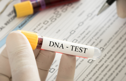dna test dna test